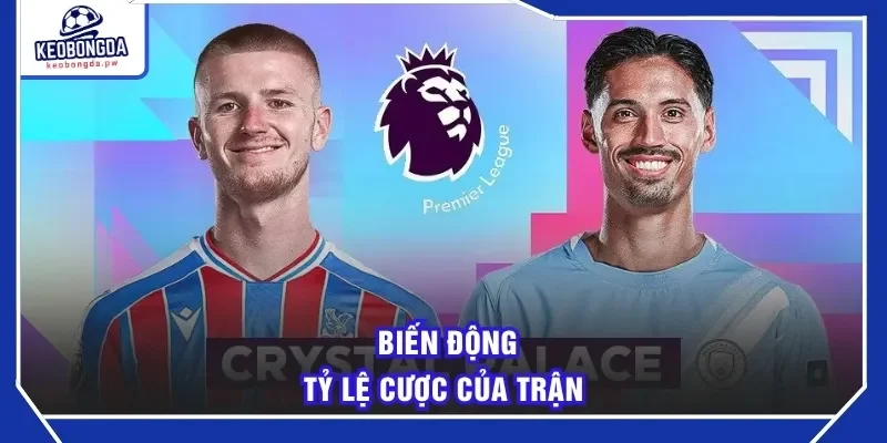 Biến động tỷ lệ cược của trận