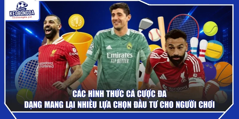 Các hình thức cá cược đa dạng mang lại nhiều lựa chọn đầu tư cho người chơi