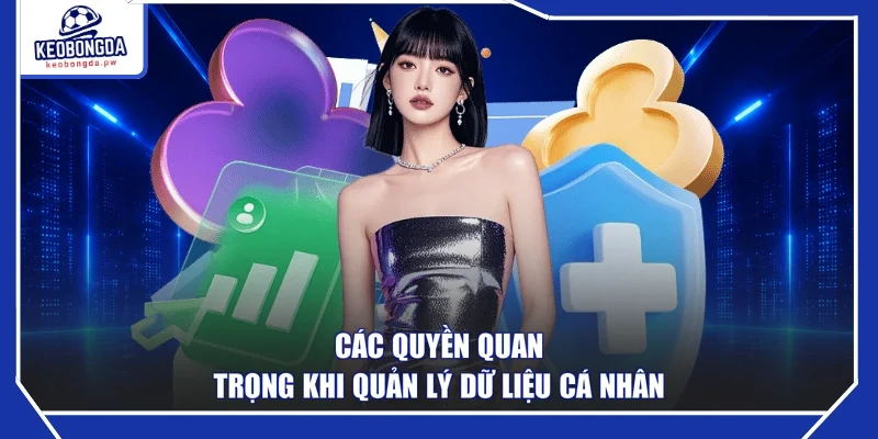 Các quyền quan trọng khi quản lý dữ liệu cá nhân
