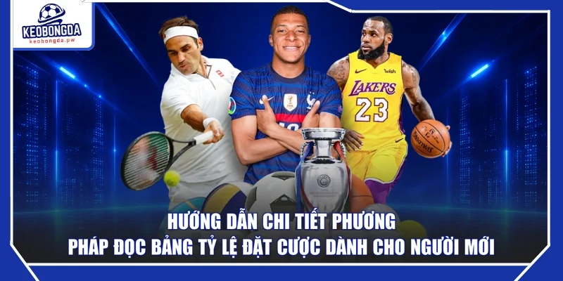 Hướng dẫn chi tiết phương pháp đọc bảng tỷ lệ đặt cược dành cho người mới