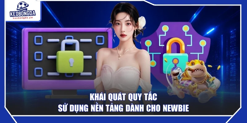 Khái quát quy tắc sử dụng nền tảng dành cho Newbie