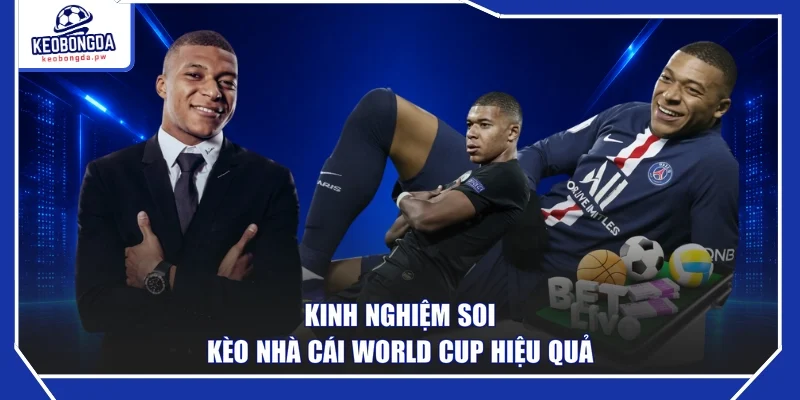 Kinh nghiệm soi kèo nhà cái World Cup hiệu quả