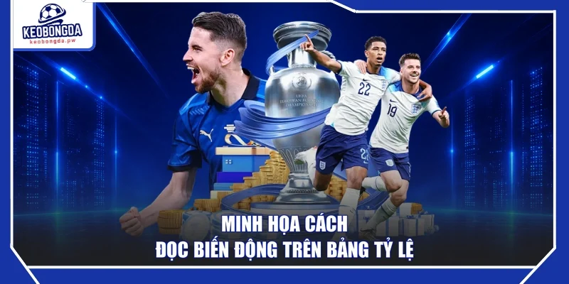 Minh họa cách đọc biến động trên bảng tỷ lệ