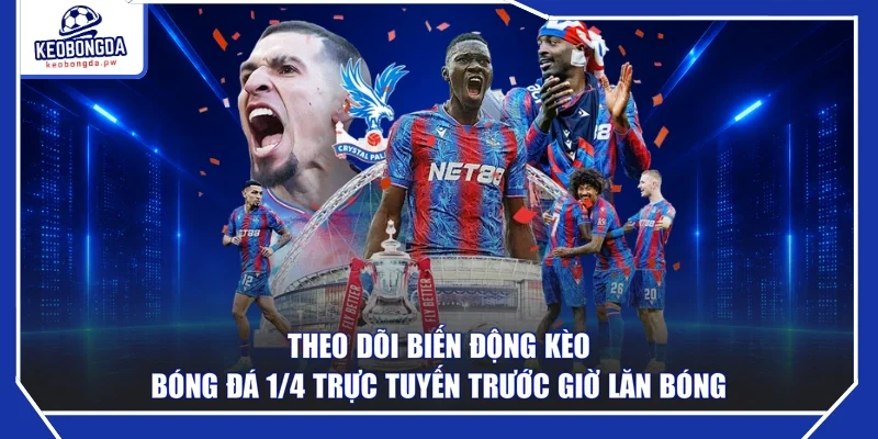 Theo dõi biến động kèo bóng đá 1/4 trực tuyến trước giờ lăn bóng