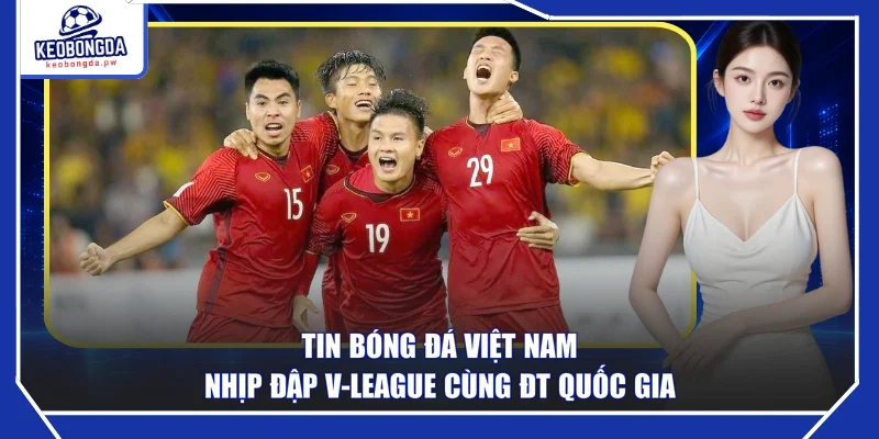 Tin Bóng Đá Việt Nam - Nhịp Đập V-League Cùng ĐT Quốc Gia
