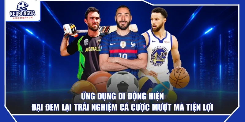 Ứng dụng di động hiện đại đem lại trải nghiệm cá cược mượt mà tiện lợi