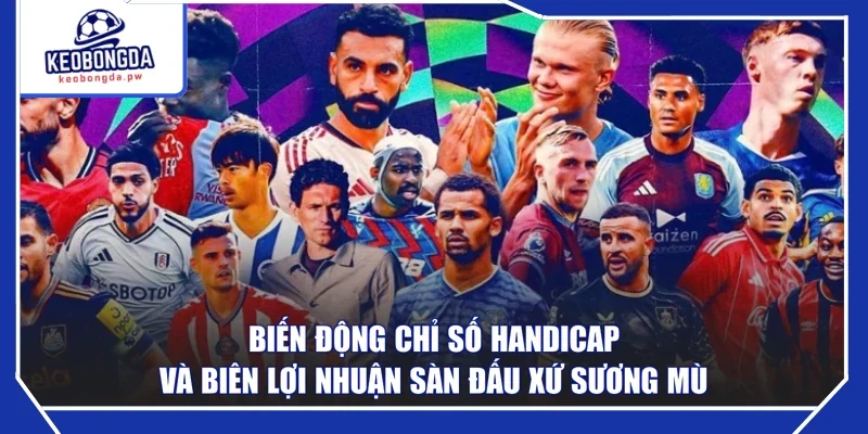 Biến động chỉ số handicap và biên lợi nhuận sàn đấu xứ sương mù