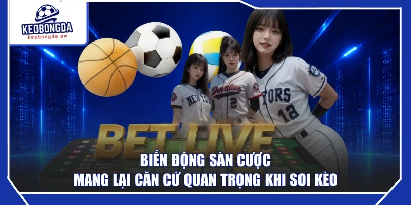 Biến động sàn cược mang lại căn cứ quan trọng khi soi kèo