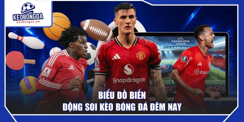 Biểu đồ biến động soi kèo bóng đá đêm nay