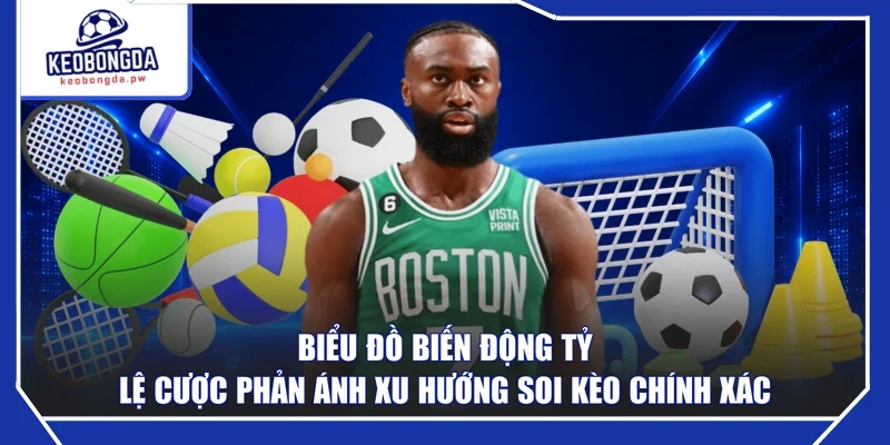 Biểu đồ biến động tỷ lệ cược phản ánh xu hướng soi kèo chính xác