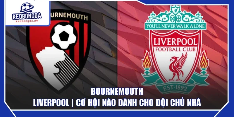Bournemouth - Liverpool | Cơ Hội Nào Dành Cho Đội Chủ Nhà