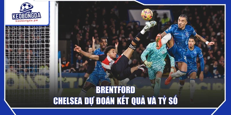 Brentford - Chelsea dự đoán kết quả và tỷ số