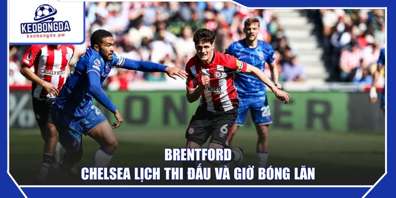 Brentford - Chelsea lịch thi đấu và giờ bóng lăn