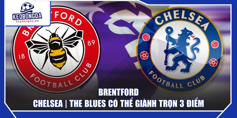 Brentford - Chelsea | The Blues Có Thể Giành Trọn 3 Điểm