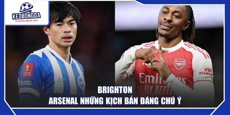 Brighton - Arsenal những kịch bản đáng chú ý
