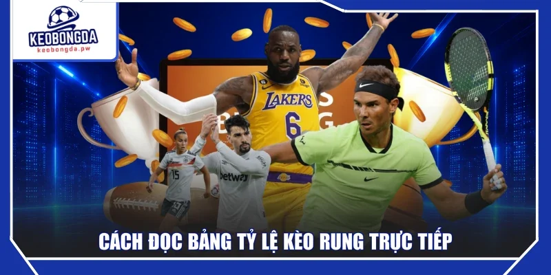 Cách đọc bảng tỷ lệ kèo rung trực tiếp