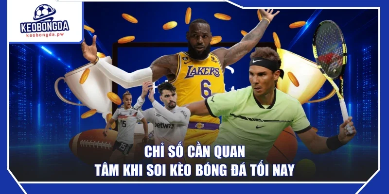 Chỉ số cần quan tâm khi soi kèo bóng đá tối nay