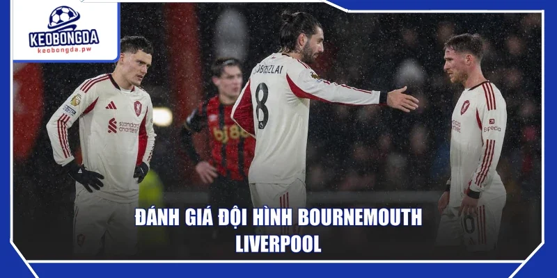 Đánh giá đội hình Bournemouth - Liverpool