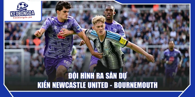 Đội hình ra sân dự kiến Newcastle United - Bournemouth