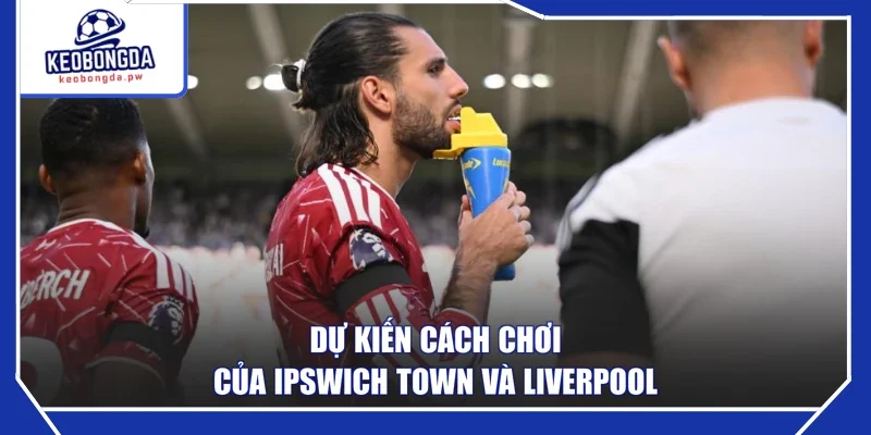 Dự kiến cách chơi của Ipswich Town và Liverpool
