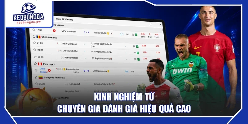 Kinh nghiệm từ chuyên gia đánh giá hiệu quả cao
