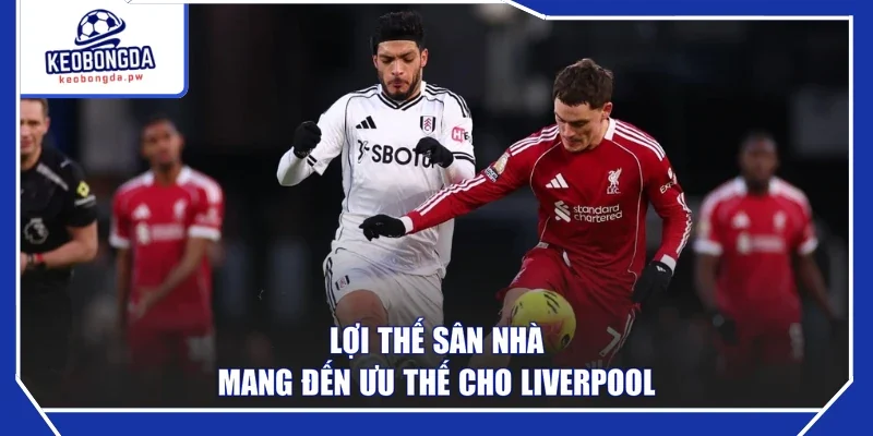 Lợi thế sân nhà mang đến ưu thế cho Liverpool