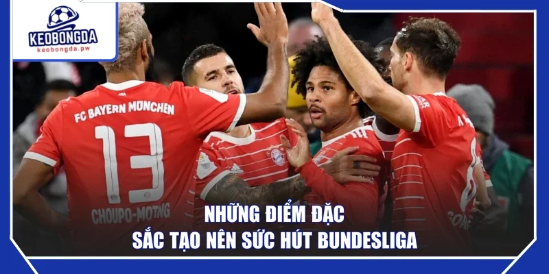 Những điểm đặc sắc tạo nên sức hút Bundesliga