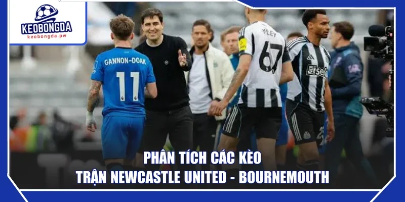 Phân tích các kèo trận Newcastle United - Bournemouth