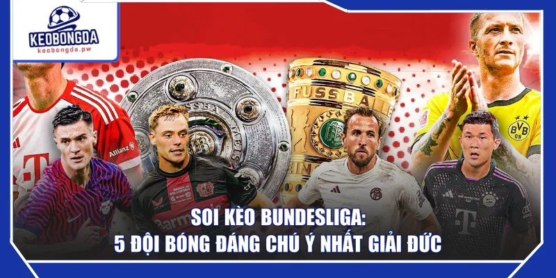 Soi Kèo Bundesliga: 5 Đội Bóng Đáng Chú Ý Nhất Giải Đức