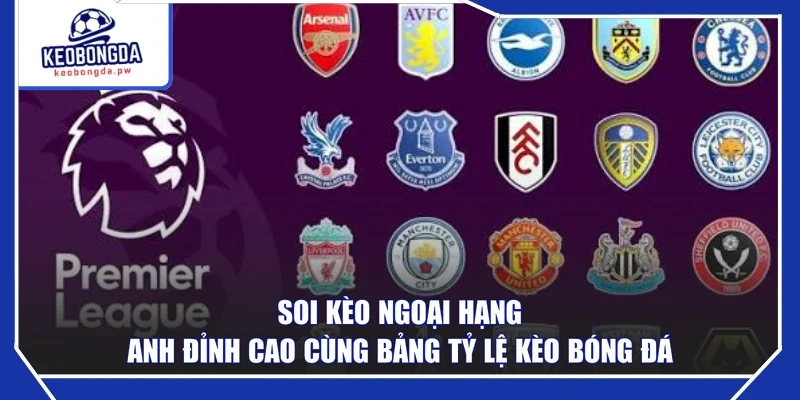 Soi Kèo Ngoại Hạng Anh Đỉnh Cao Cùng Bảng Tỷ Lệ Kèo Bóng Đá
