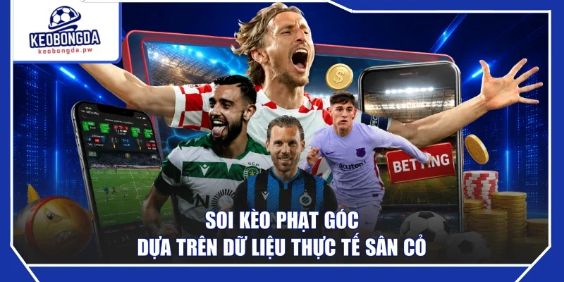 Soi kèo phạt góc dựa trên dữ liệu thực tế sân cỏ