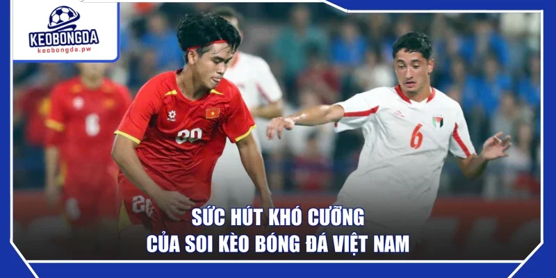 Sức hút khó cưỡng của soi kèo bóng đá Việt Nam