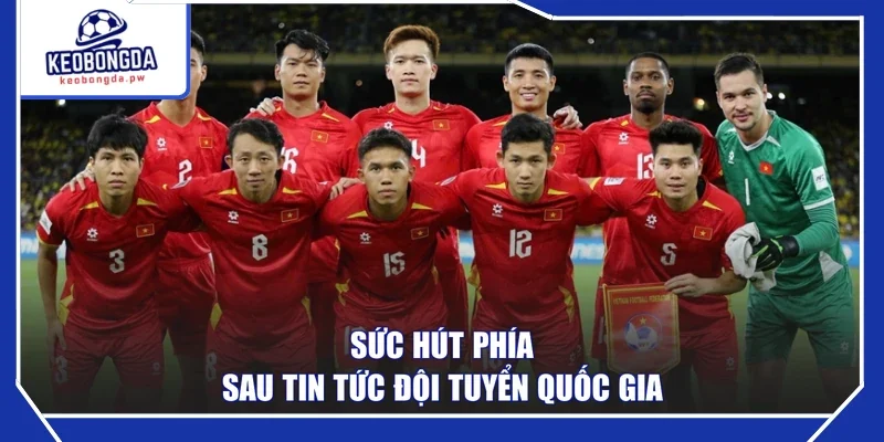 Sức hút phía sau tin tức đội tuyển quốc gia
