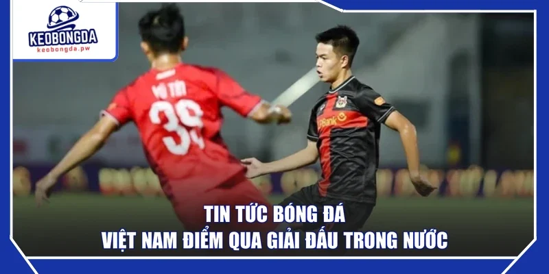 Tin tức bóng đá Việt Nam điểm qua giải đấu trong nước