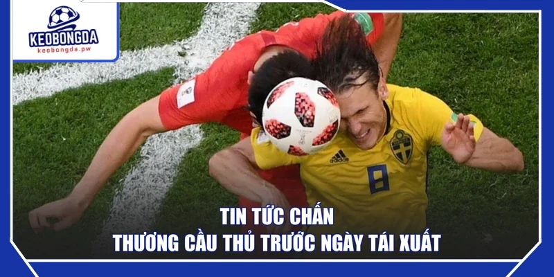 Tin tức chấn thương cầu thủ trước ngày tái xuất