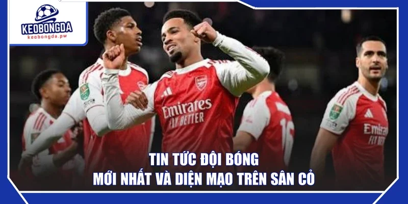 Tin tức đội bóng mới nhất và diện mạo trên sân cỏ