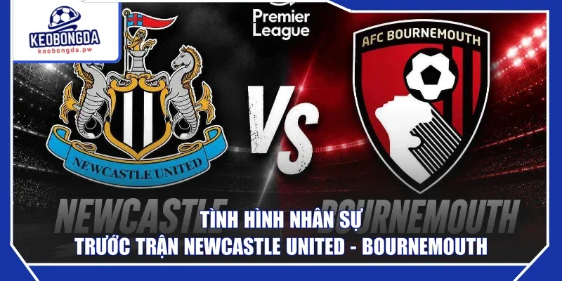 Tình hình nhân sự trước trận Newcastle United - Bournemouth