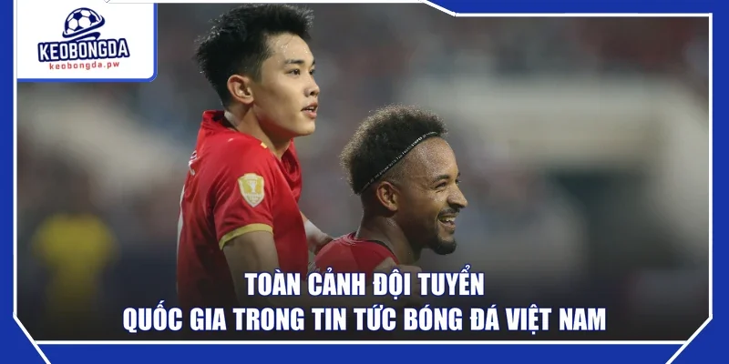 Toàn cảnh đội tuyển quốc gia trong tin tức bóng đá Việt Nam