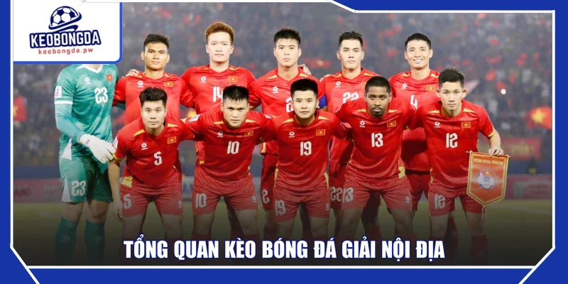 Tổng quan kèo bóng đá giải nội địa