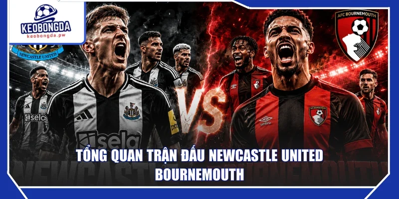 Tổng quan trận đấu Newcastle United - Bournemouth